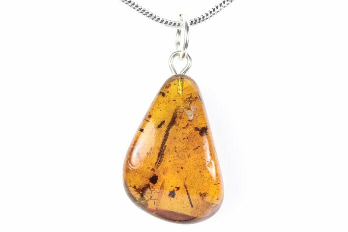 Polished Baltic Amber Pendant (Necklace) - Contains Beetle & Fly! #288827